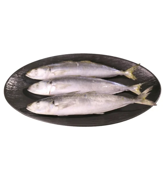 Efek makan ikan beku kualitas rendah