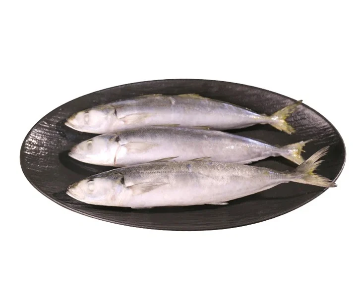 Efek makan ikan beku kualitas rendah