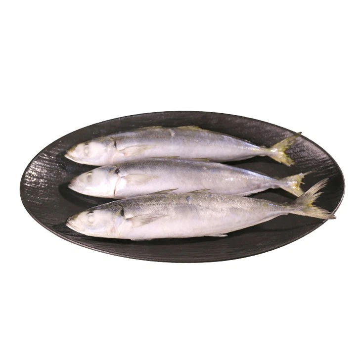 Efek makan ikan beku kualitas rendah