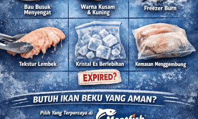 Tanda ikan beku sudah tidak aman