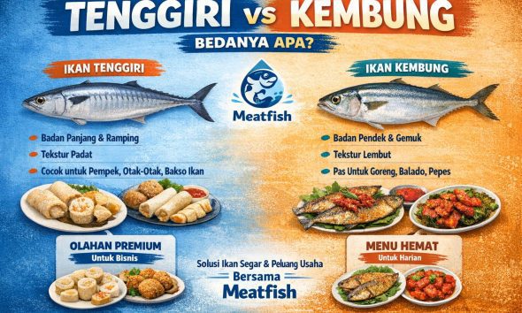 Tenggiri vs kembung bedanya apa