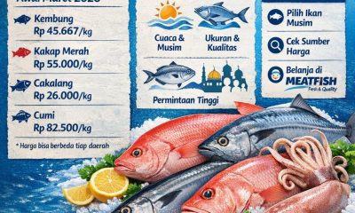 Harga ikan laut per kg hari ini