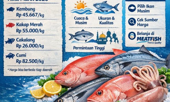 Harga ikan laut per kg hari ini