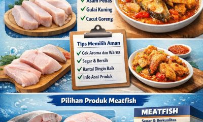 Ikan Cucut
