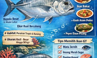 Ikan GT itu ikan apa
