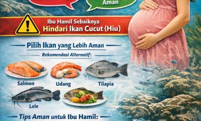 Ibu hamil boleh makan ikan cucut