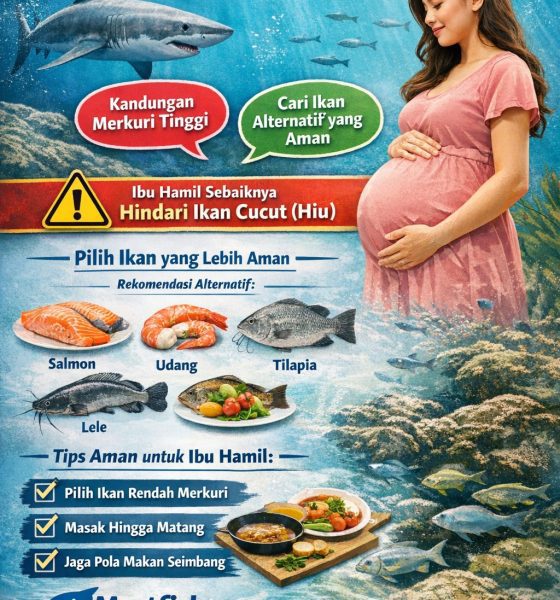 Ibu hamil boleh makan ikan cucut