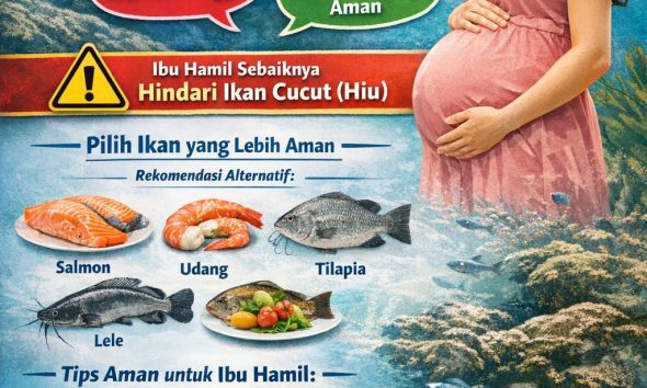 Ibu hamil boleh makan ikan cucut