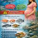 Ibu hamil boleh makan ikan cucut