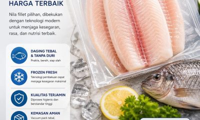 Jual Nila Fillet Frozen