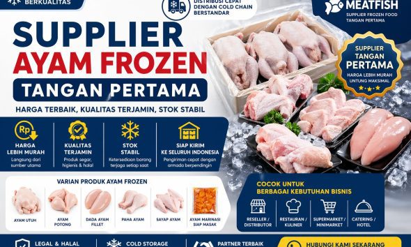 supplier ayam frozen tangan pertama
