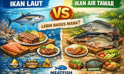Ikan laut vs ikan air tawar