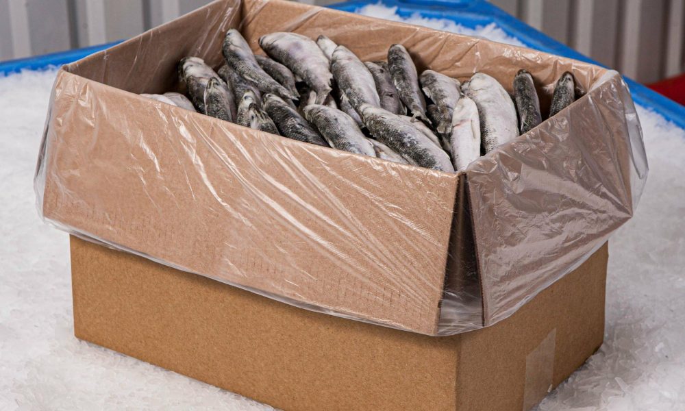 Jual Pangasius Fillet Frozen