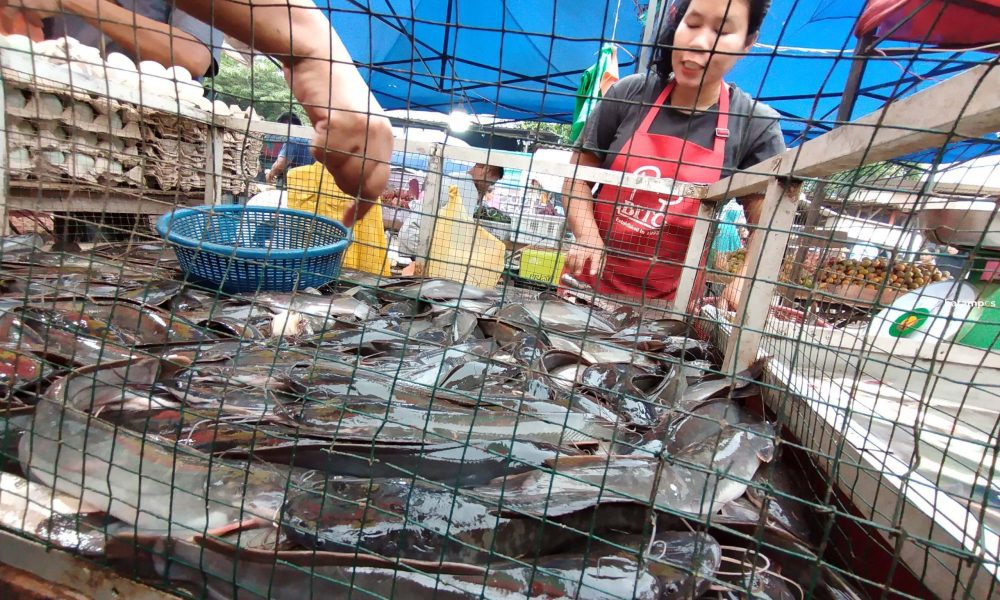 usaha ikan pasar