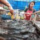 usaha ikan pasar